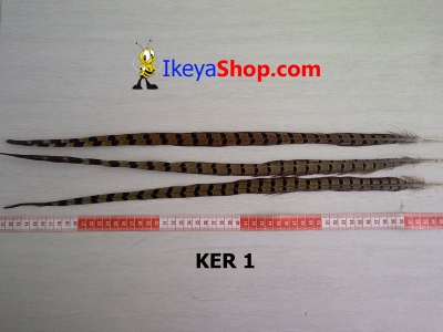 KER 1  large2